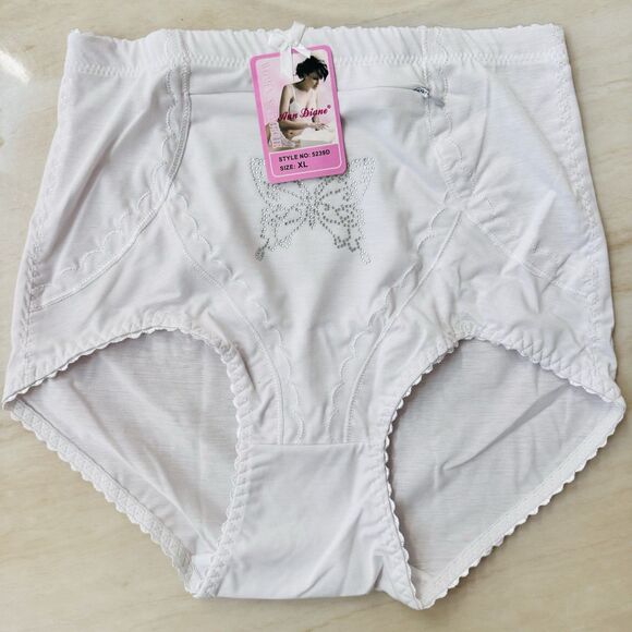 Lot of Ann Diane Women’s High Waist Cotton Briefs XL w/Hidden Pocket 4 Colors - Picture 3 of 16